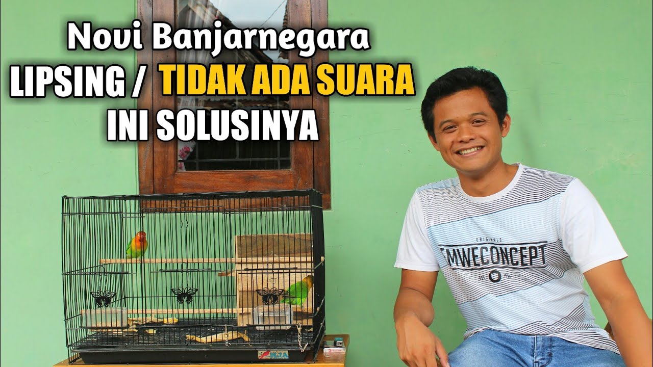 Cetak Konslet | yang tadinya lipsing jadi keluar suara | Novi Banjarnegara