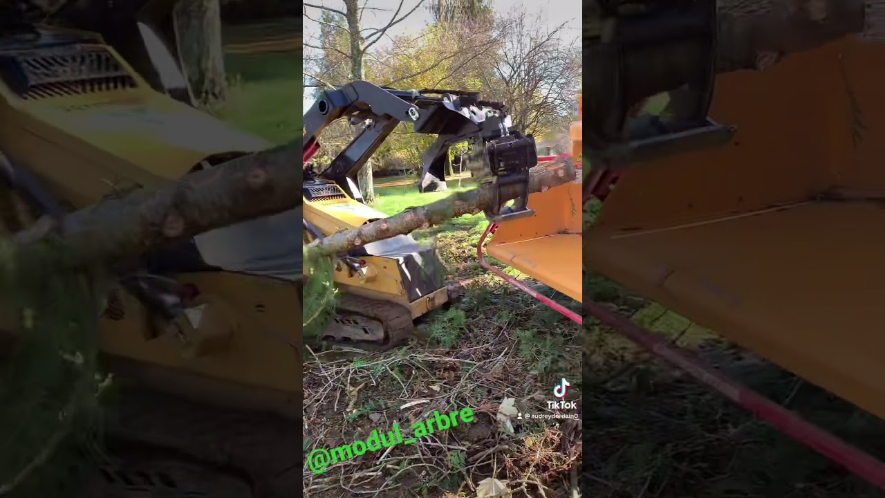 Bandit 12x et vermeer ctx100