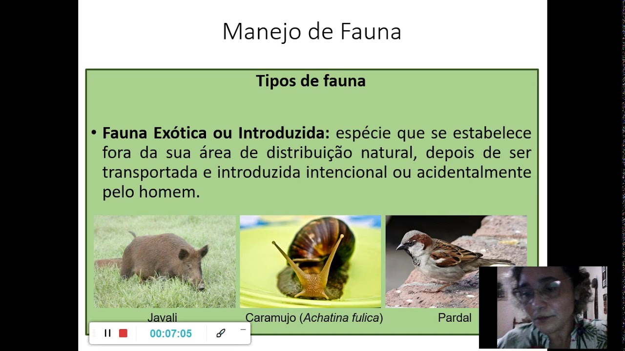 Video aula Manejo de Fauna