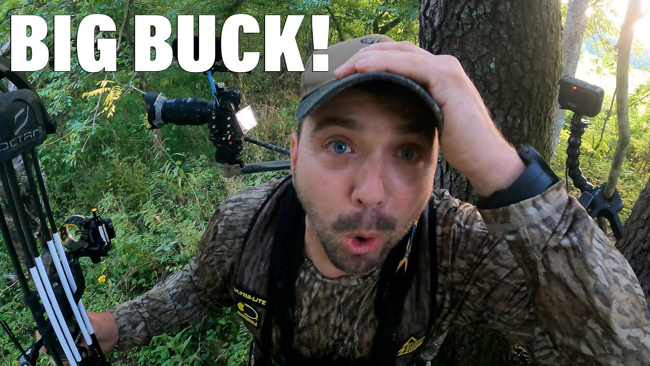 Kentucky Public Land Big Buck! Archery Hunting Opening Day! #hunting #huntingpublic #archeryhunting