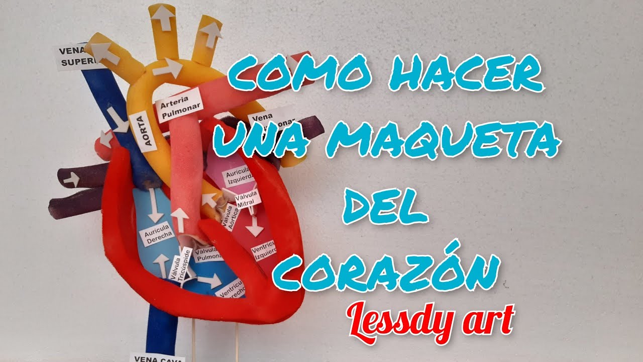 como hacer una maqueta del corazón