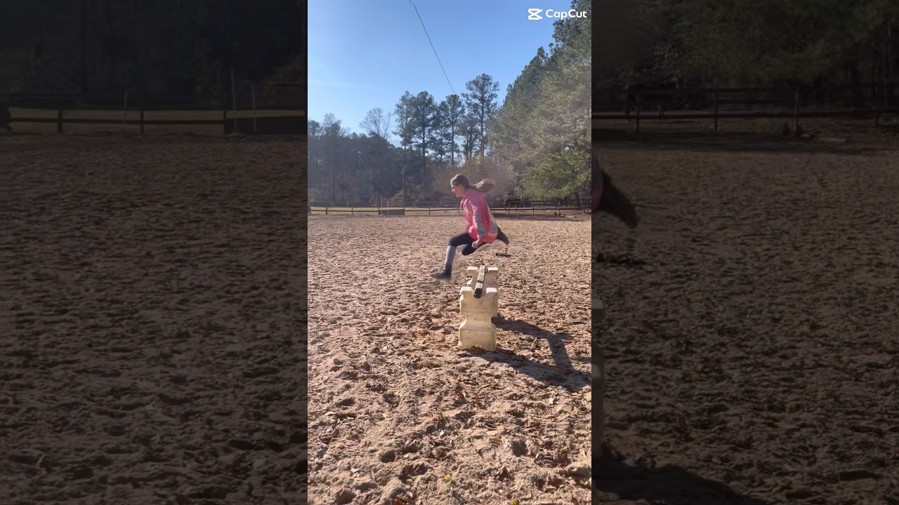 #horse #equinegame #horseenthusiast #mountedgames #equestrian #equestrianevent #equestrianshow