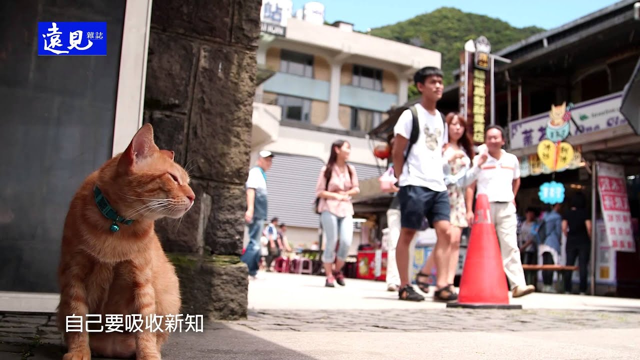 《遠見》2014年8月號 — 81歲的不老導遊