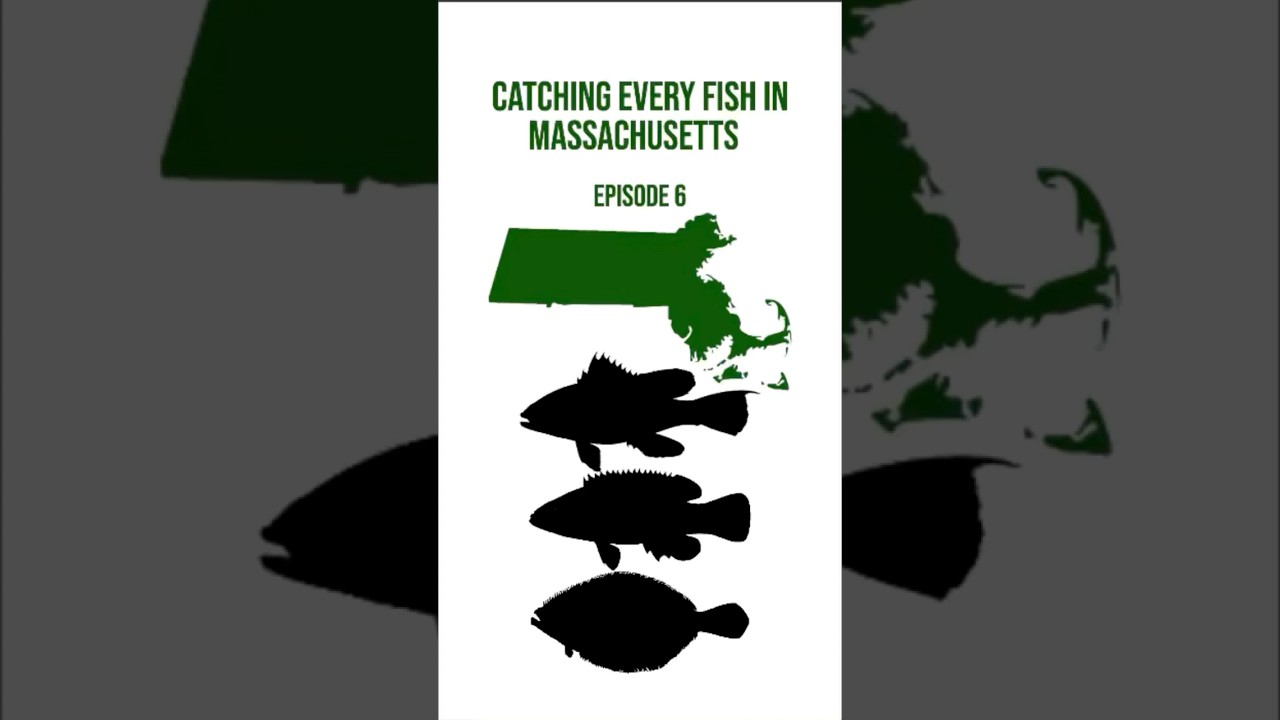 Catching Every Fish in Massachusetts | Episode 6 