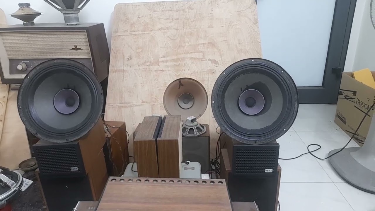 1 cặp loa toàn dải Philip Ad12100 M8 30cm (5.8tr)