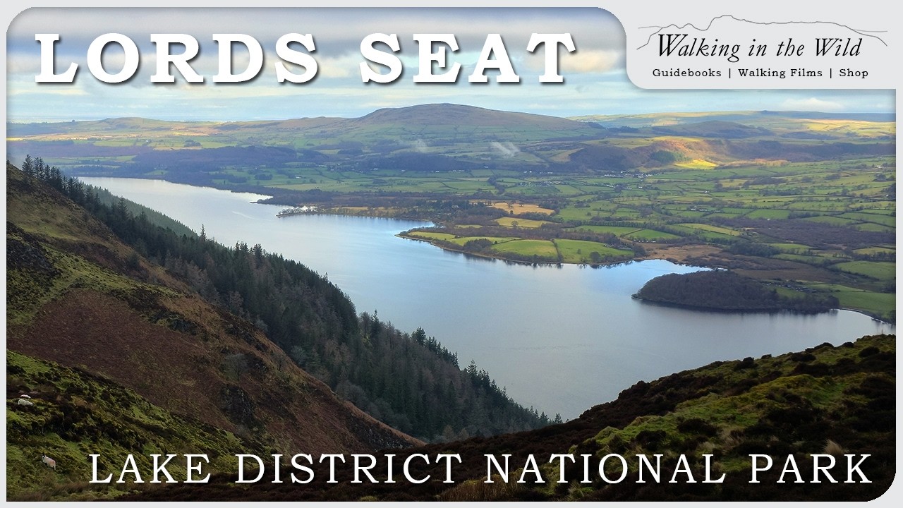 Lake District Walks: Barf, Lords Seat and Broom Fell