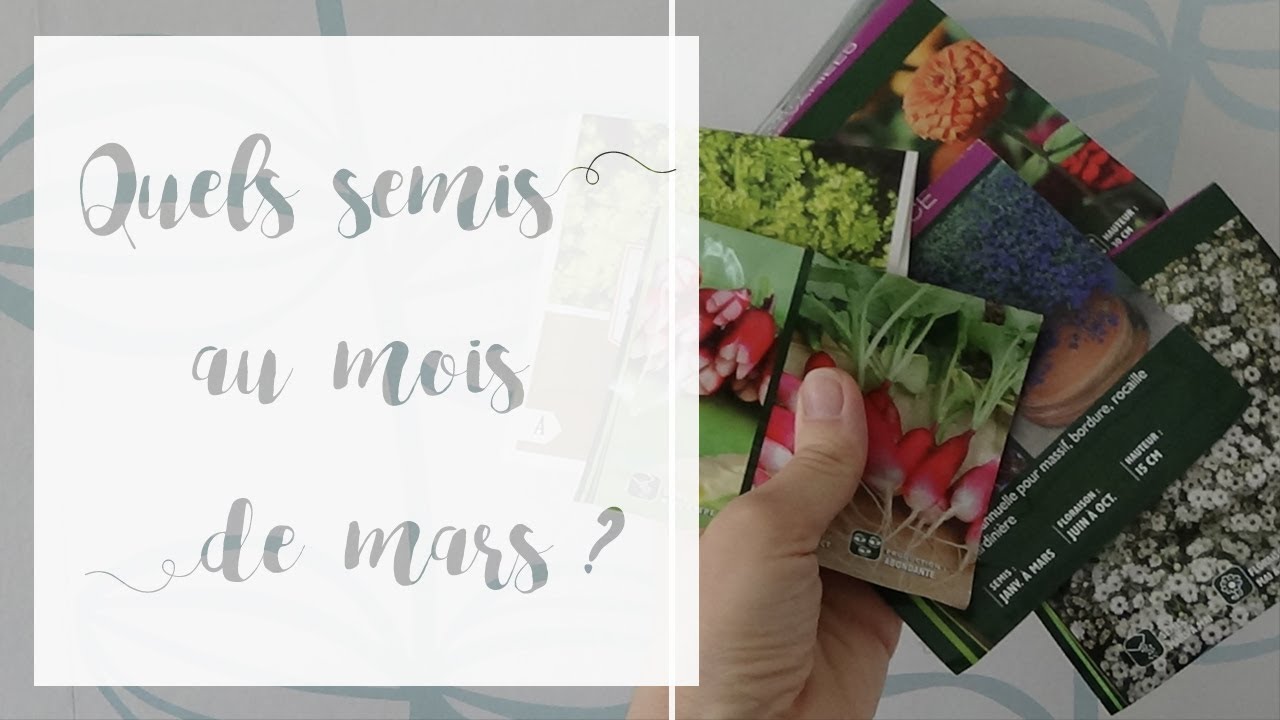 Quels semis faire en mars ? | SERIE Les semis de printemps