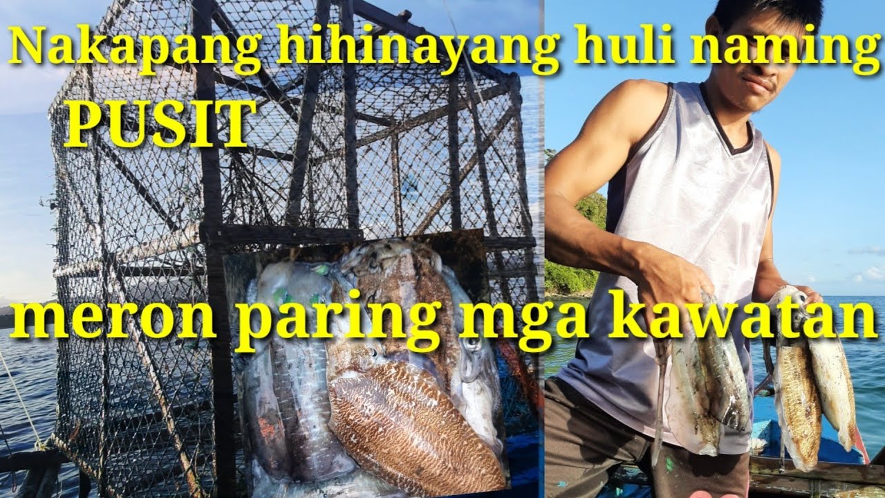 pilipino tradistional fishing Squid trap O bubo