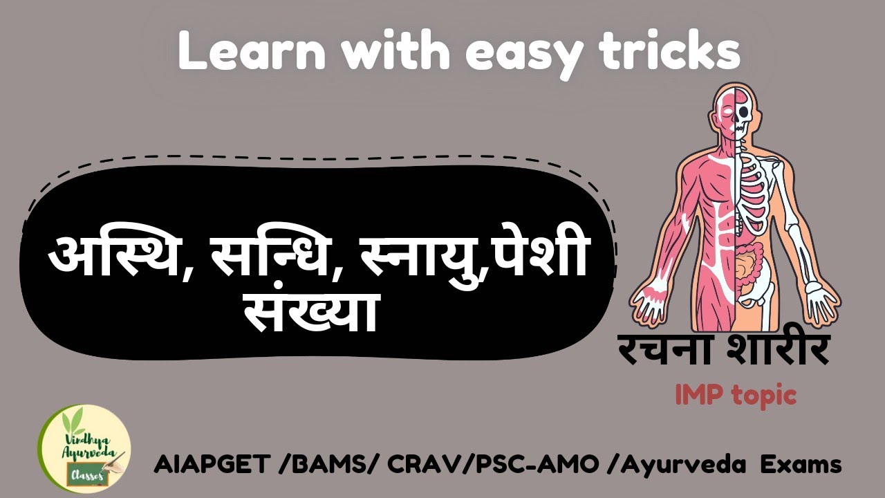 अस्थि,सन्धि, स्नायु, पेशी संख्या with easy tricks|Rachna Sharir|IMP|Ayurveda|BAMS#aiapget#ayurveda
