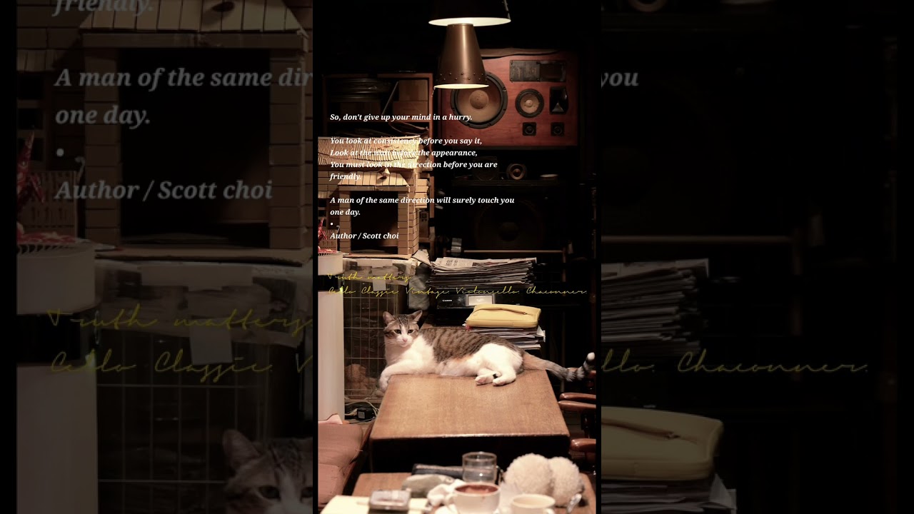 356 . Vintage Pop