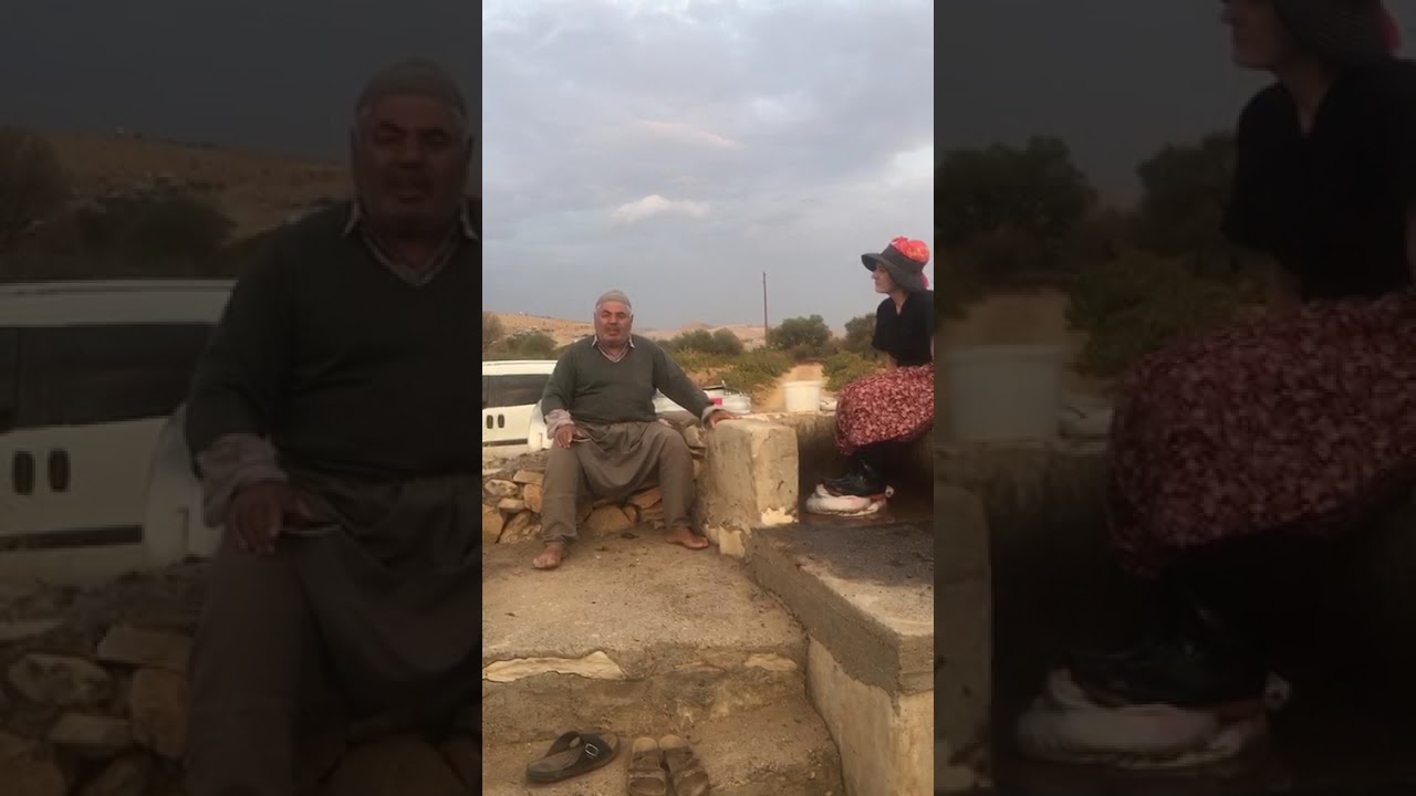 Haci davut ari denkbej