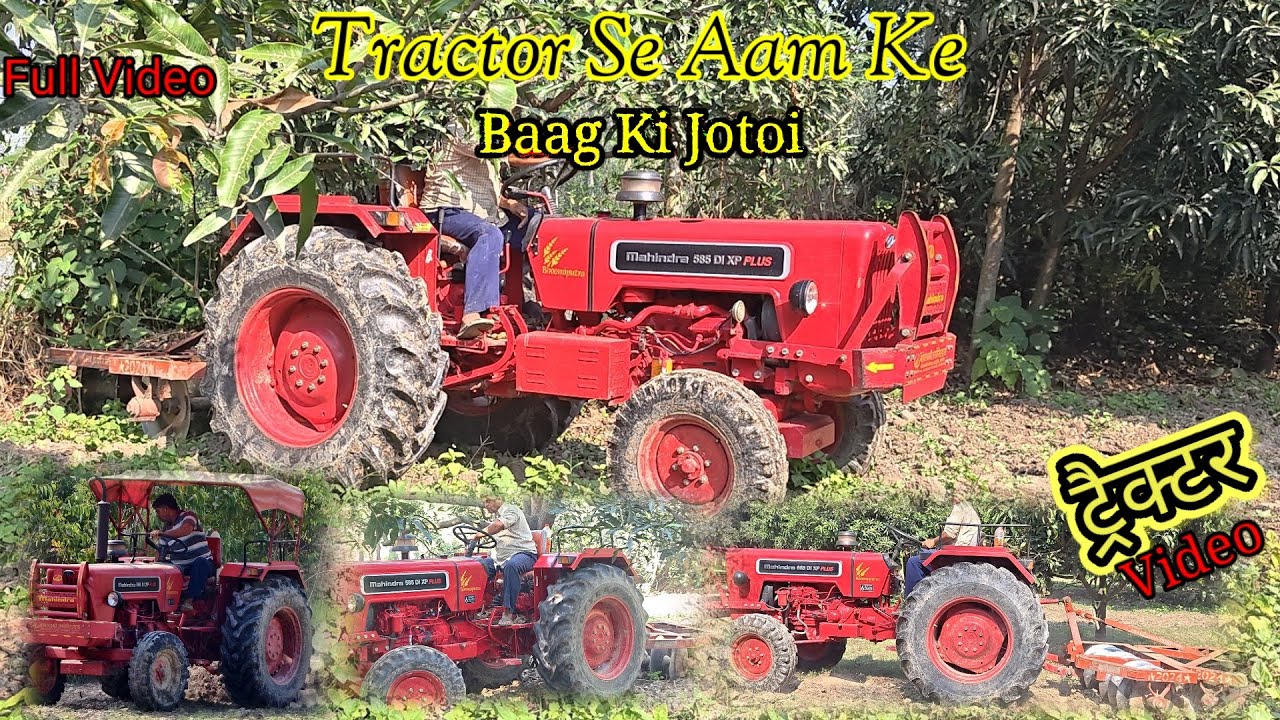 Tractor Se Aam Ke Baag Ki Jotai | आम के बाग की ट्रैक्टर से जोताई 