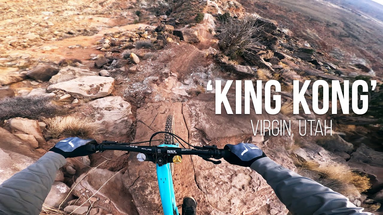 The Gnarliest MTB trail in the World? | 'King Kong' POV