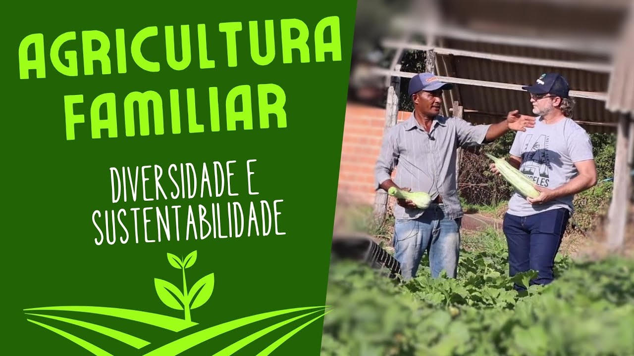 O Papel da Agricultura Familiar