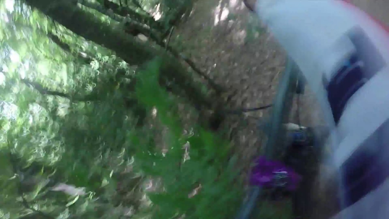 Vodno Downhill Crash 2017