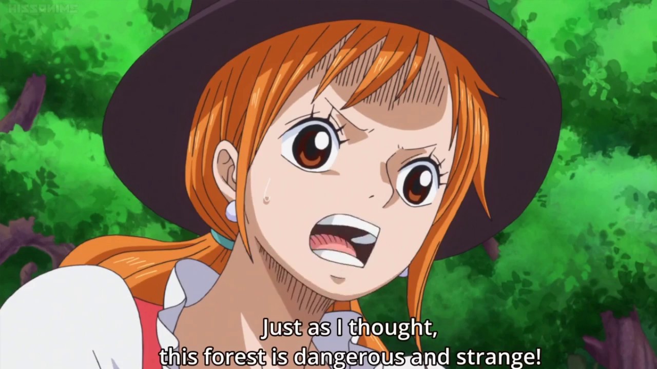 Nami getting suprised by talking crocodile