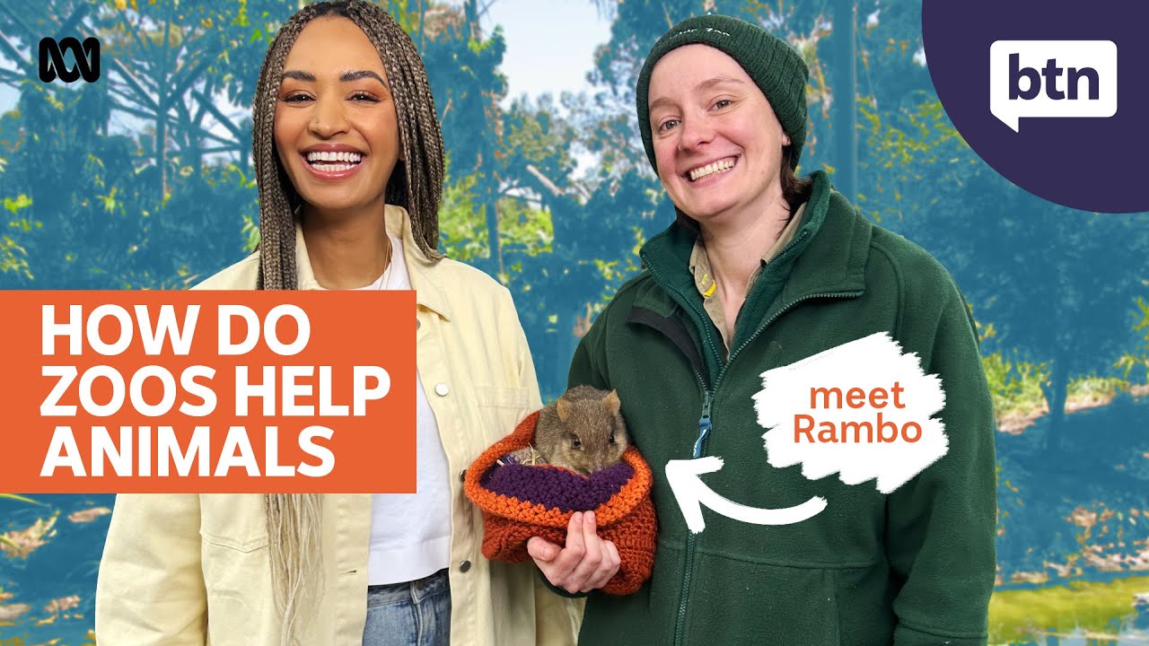 Zoos and Conservation - Behind the News