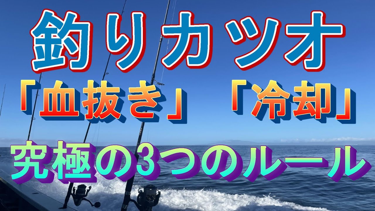 釣りカツオは、「血抜き」と「冷却」！釣りカツオを新鮮に持ち帰るための究極の3つのルール！