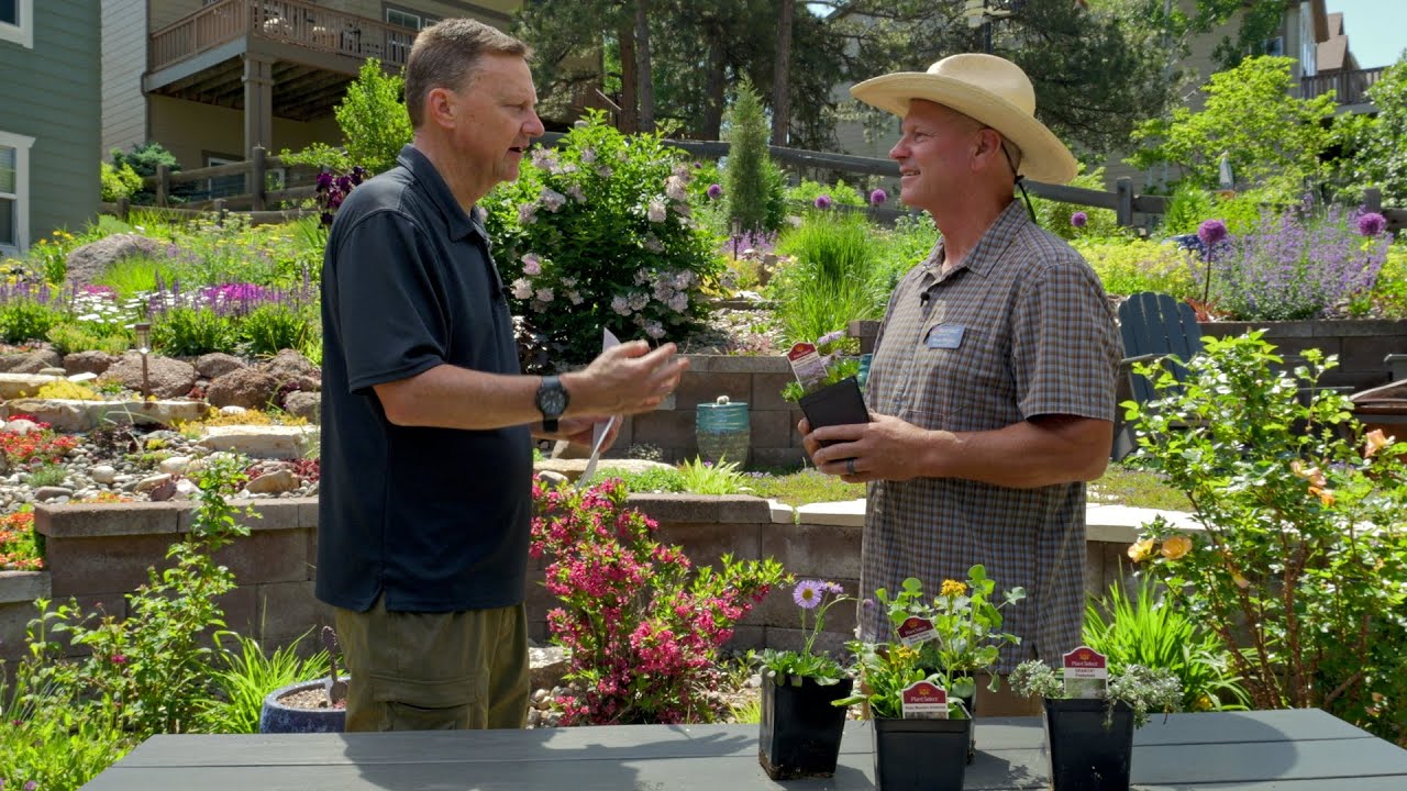 Plant design tips with Plant Select