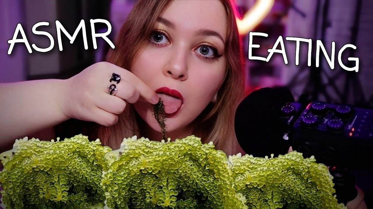 АСМР ЕМ МОРСКОЙ ВИНОГРАД 🤤 Расскажу как МНЕ ВТЮХАЛИ КРЕДИТКУ и РАЗВЕЛИ в БЕЛАРУСИ 😈 ASMR SEA GRAPES