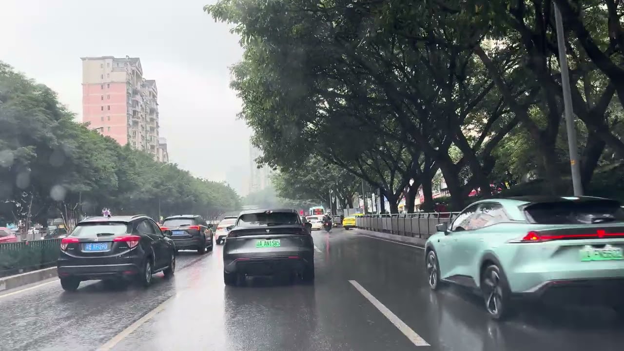 From Danzishi, Nan'an District, Chongqing to Zengjia Town, Shapingba District, Chongqing