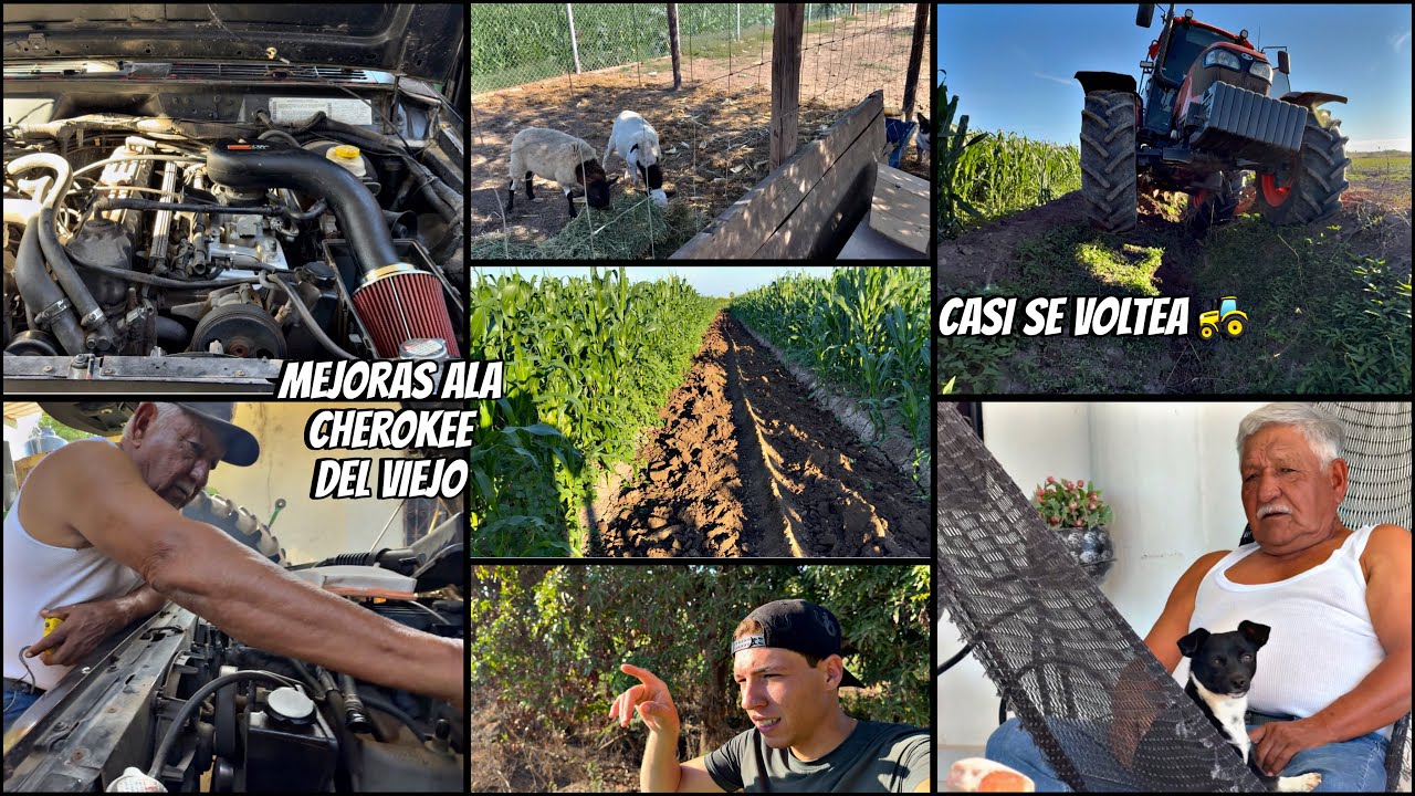 MEJORAS A LA CHEROKEE DE MI ABUELO Y UN POCO DE TRABAJO. CAEMOS EN UN CANAL EN EL TRACTOR👀‼️