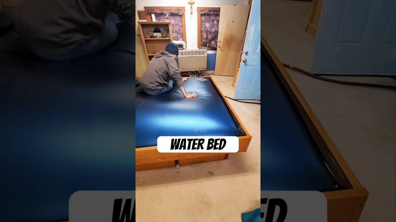 Why Water Beds Went Extinct