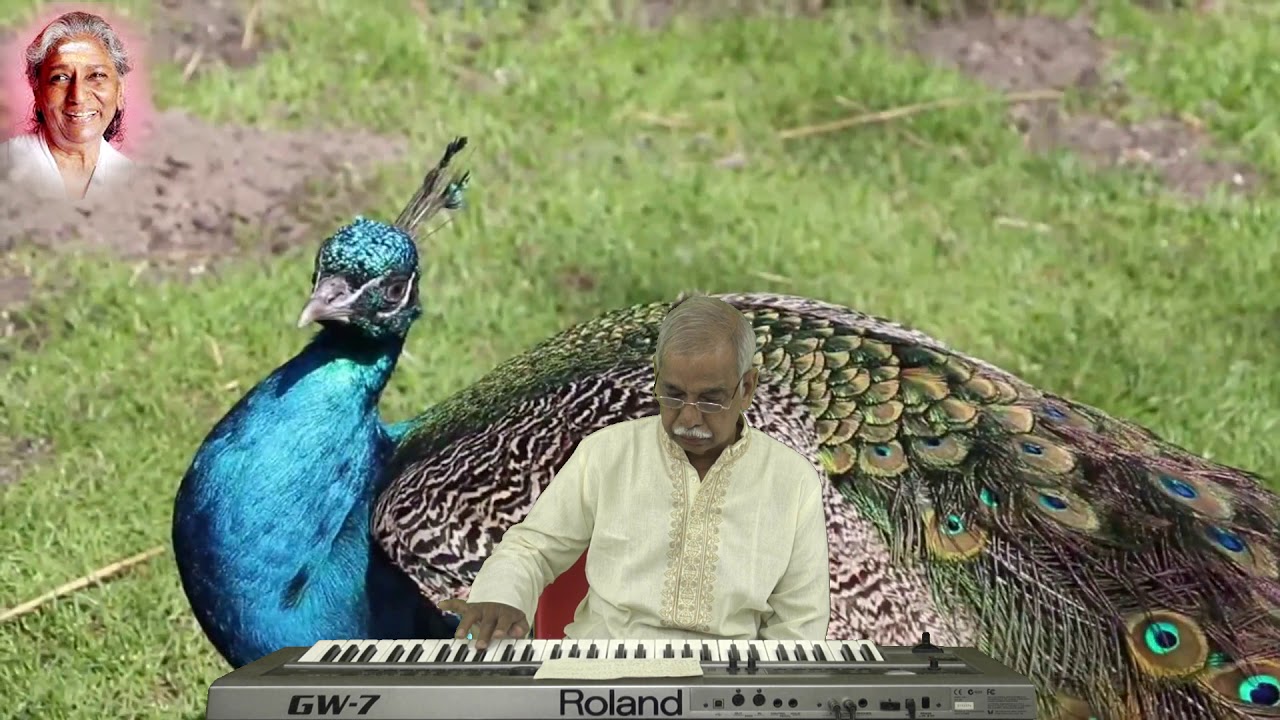 Pagale Vennela