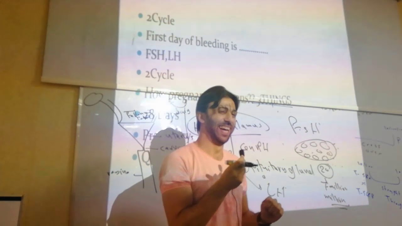 د. ايمن حميد menstrual cycle الدورة الشهرية