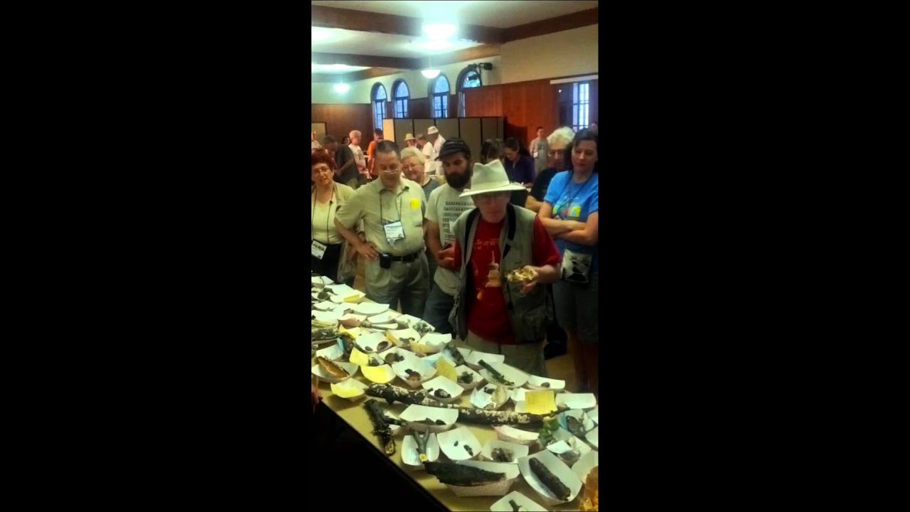 Gary Lincoff NEMF 2012 Mushrooms