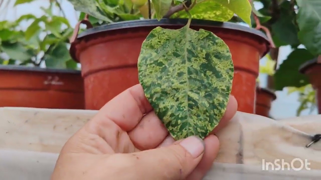 19 сентября . обзор !!! 