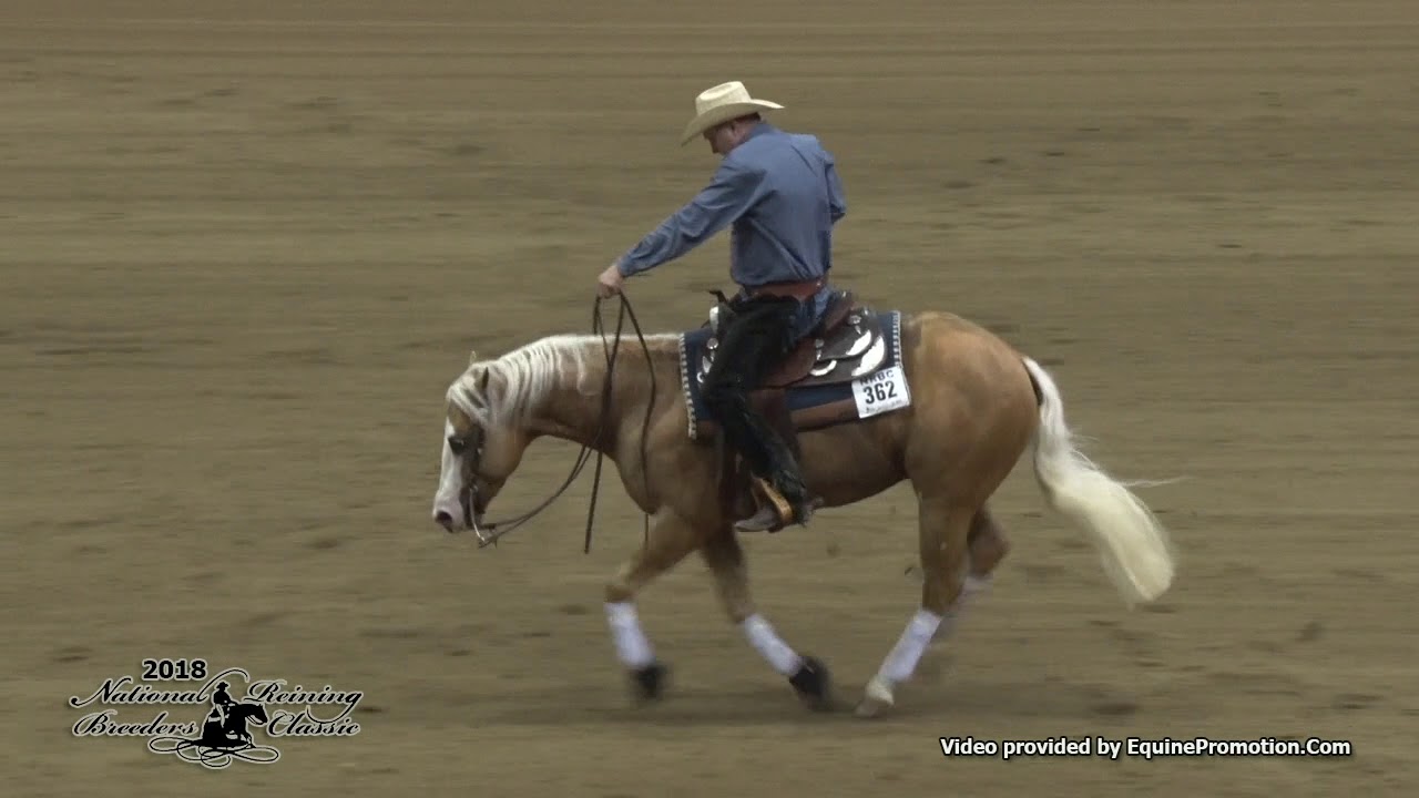 2018 NRBC Lv 4 Open Champion Modern Gun and Duane Latimer