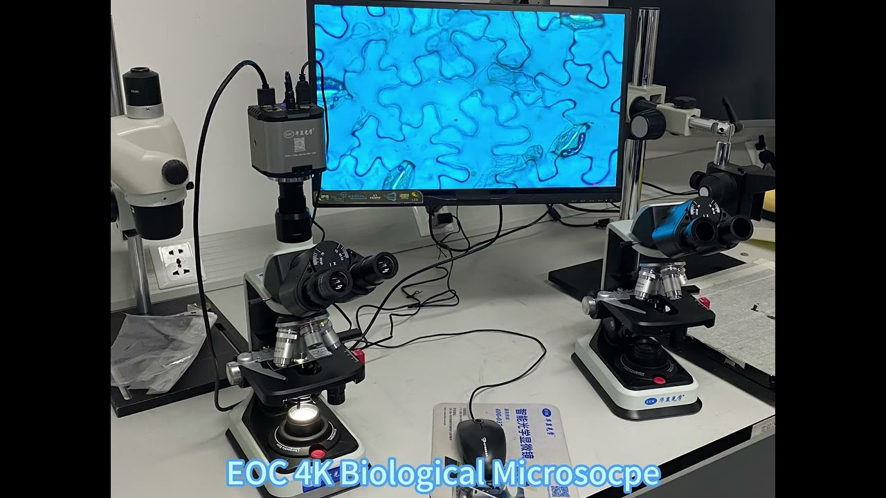 EOC 4K biological MICROSCOPE