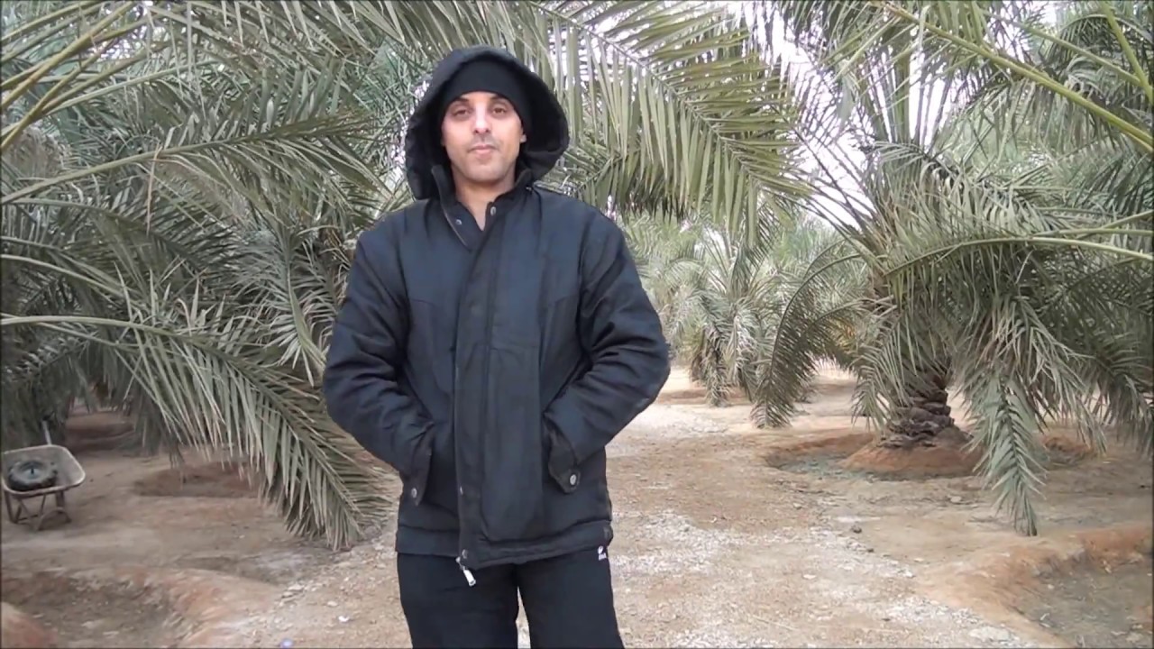 مقصورة السويلم ــ محافظة البكيرية