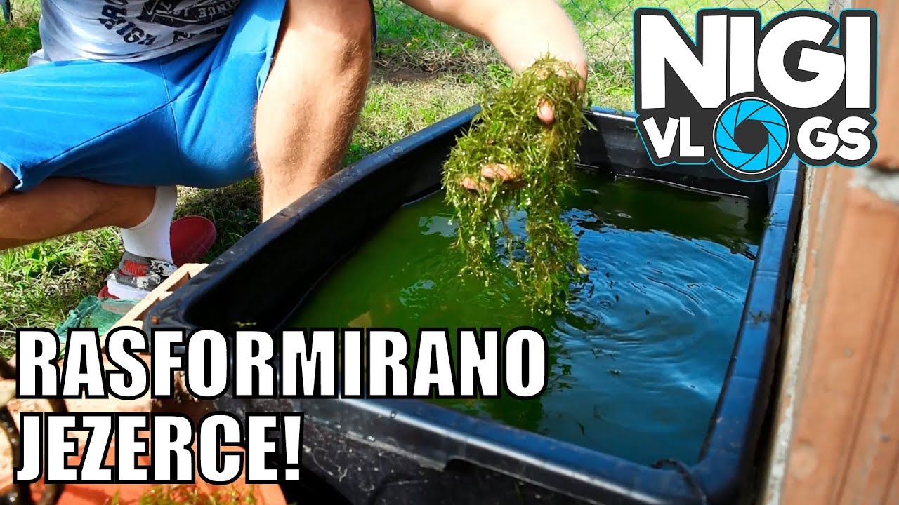 Rasformirano Vrtno Jezerce u Koritu - Kraj #NigiVlogs #Akvaristika
