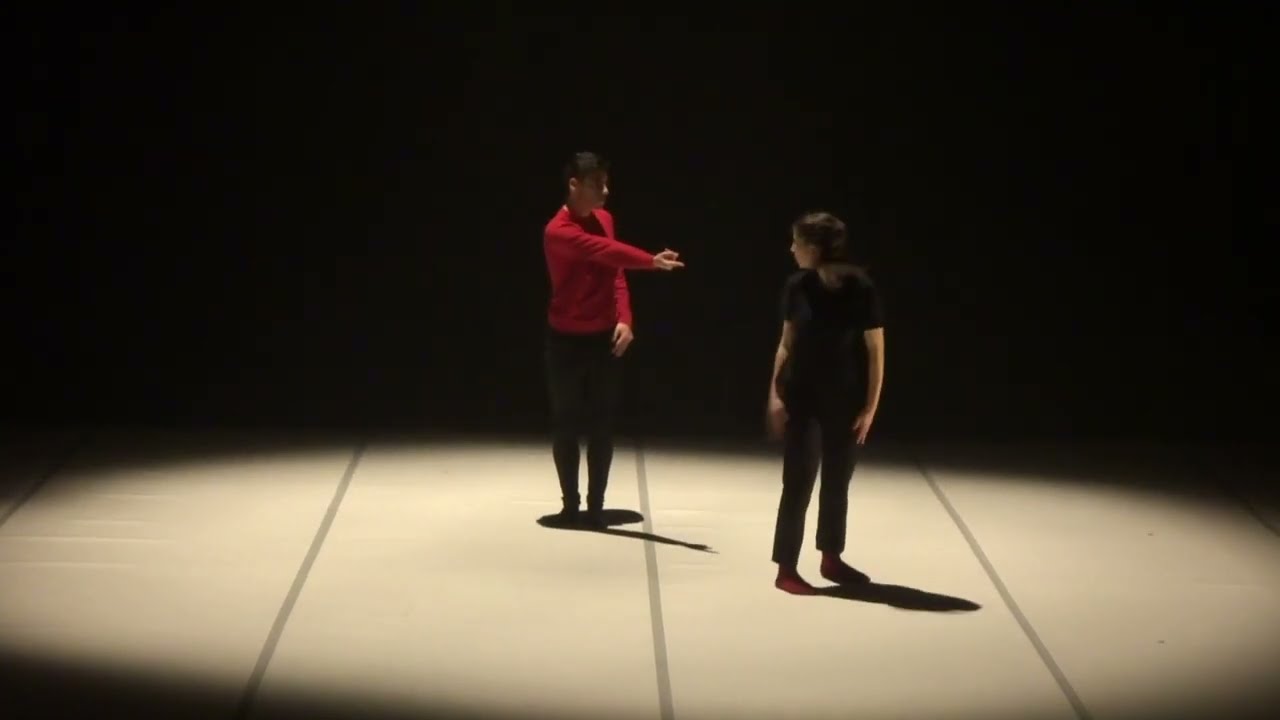 Anpassung (extract) 2018