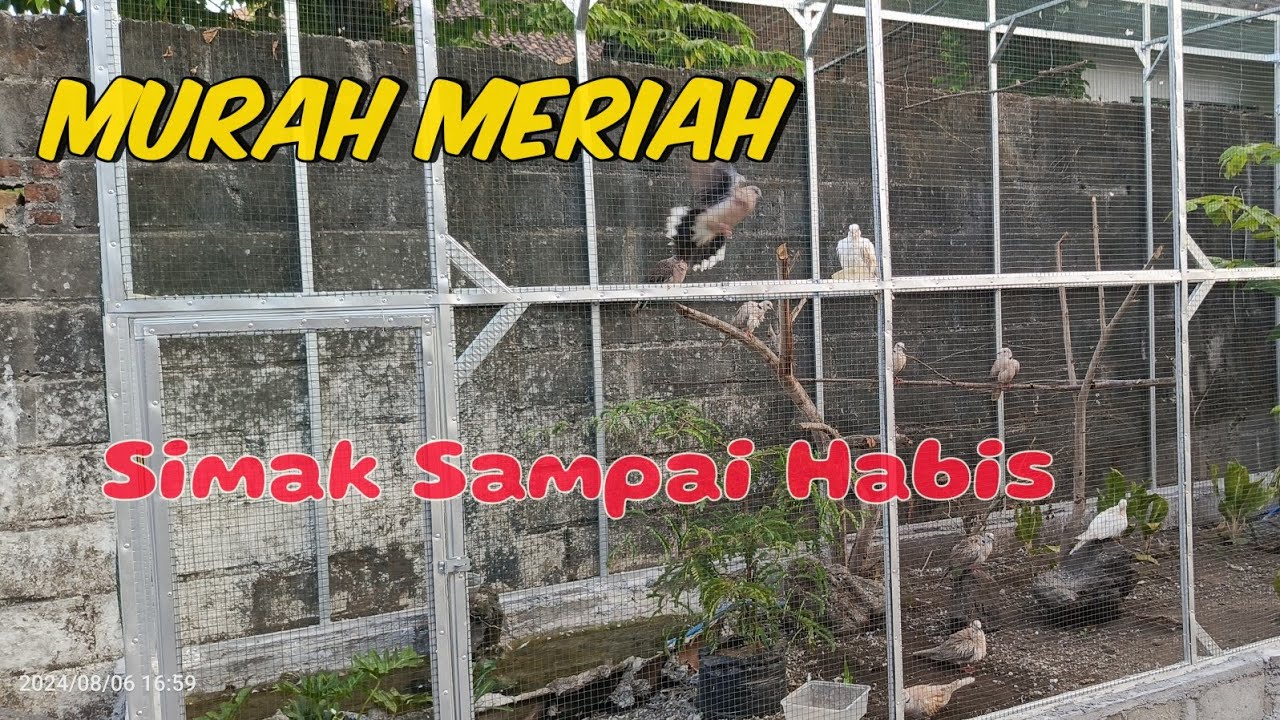 Biaya membuat aviary mini - Cost of making a mini Aviary outdoor