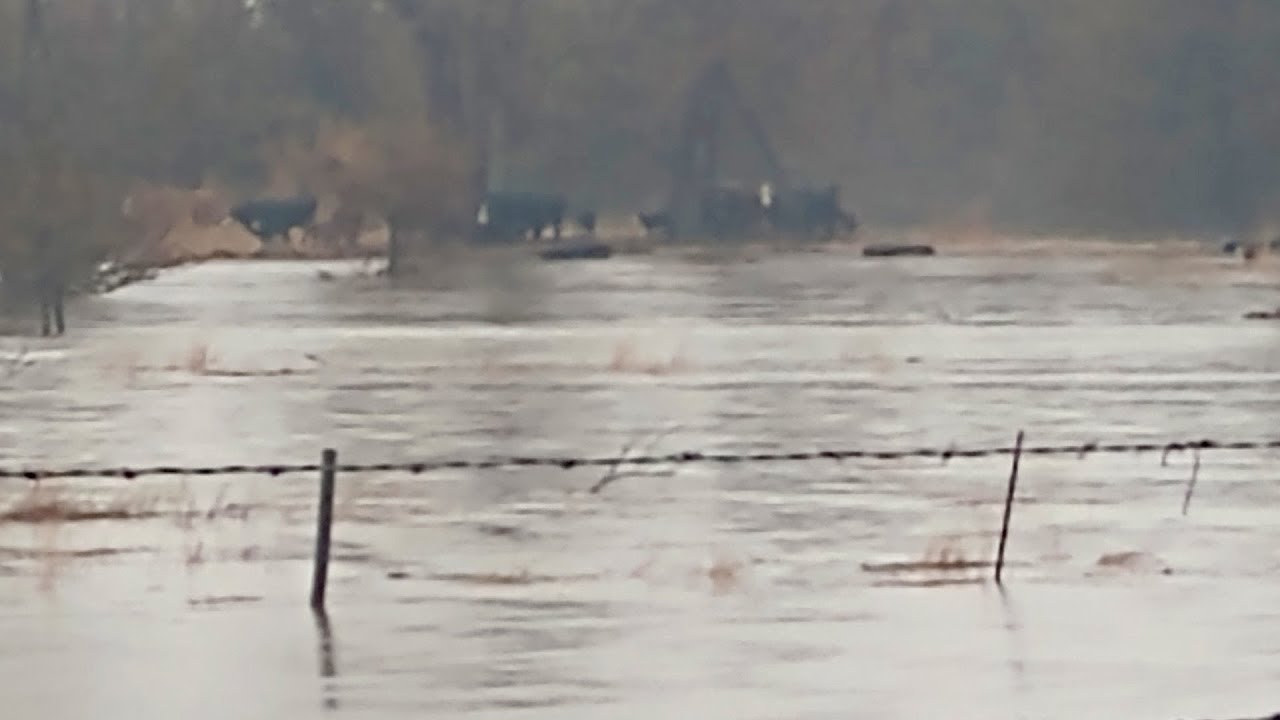 Loup City Farmer Powerless as Flood Washes Away Cattle