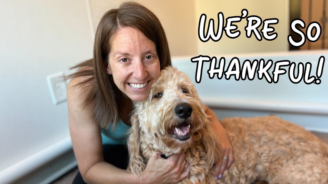 Day In The Life Of Dog Breeder - Nala Received Alot Of Love