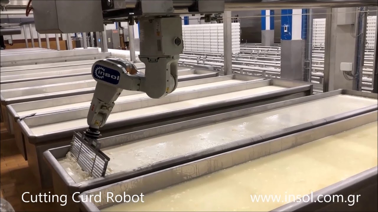 Insol Dairy Machinery - Cutting curd Robot