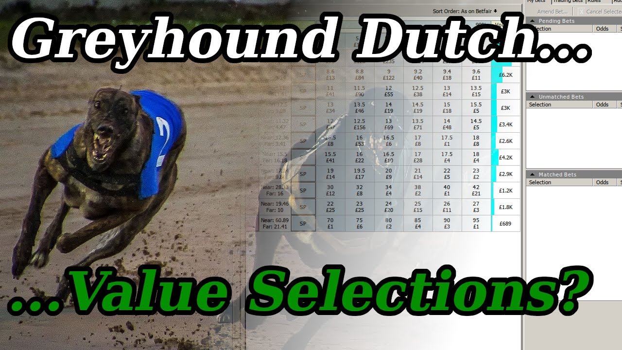 Стоимость Greyhound Dutching