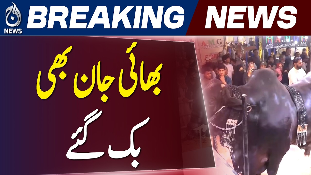 Karachi Bakra Eid Cattle Market | Viral Bull &ldquo;Bhai Jan&rdquo; Sold | Eid Shopping Rush 2026 - Aaj News