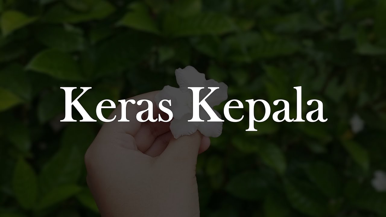 Keras Kepala, Mencintaimu, Tak Dianggap || 