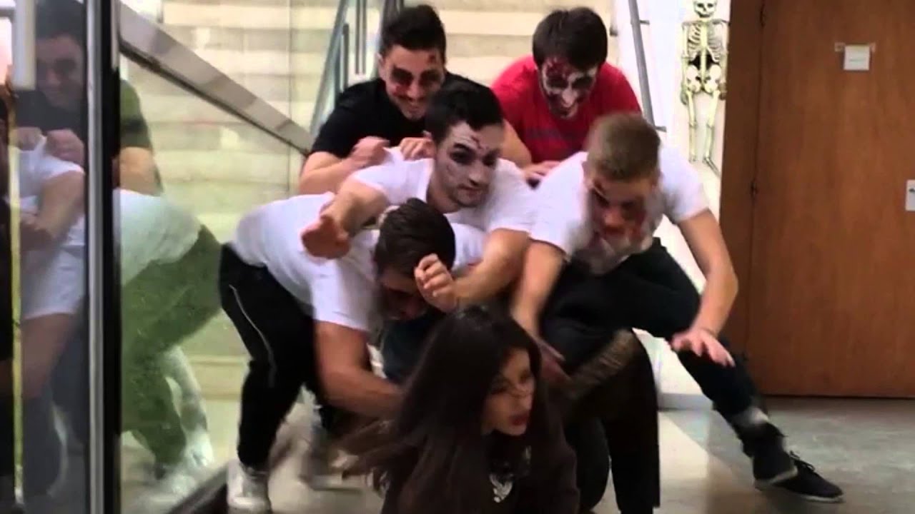 IUT Figeac horror story