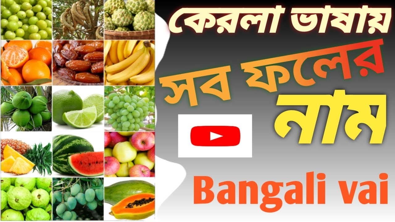 ফলের নাম মালায়ালম ভাষায়, all fruts name in maliyalam language,