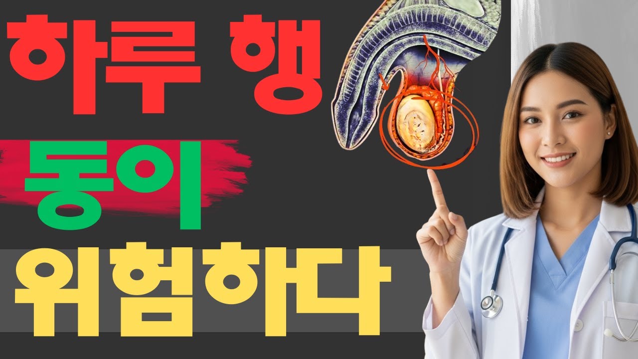 전립선 건강 붕괴? 하버드 연구가 밝힌 매일의 위험한 행동