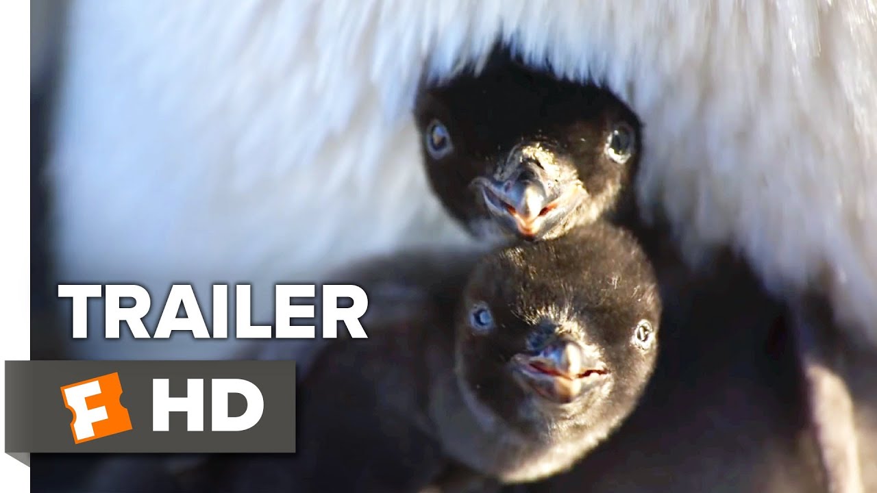 Penguins Trailer #2 (2019) | Movieclips Indie