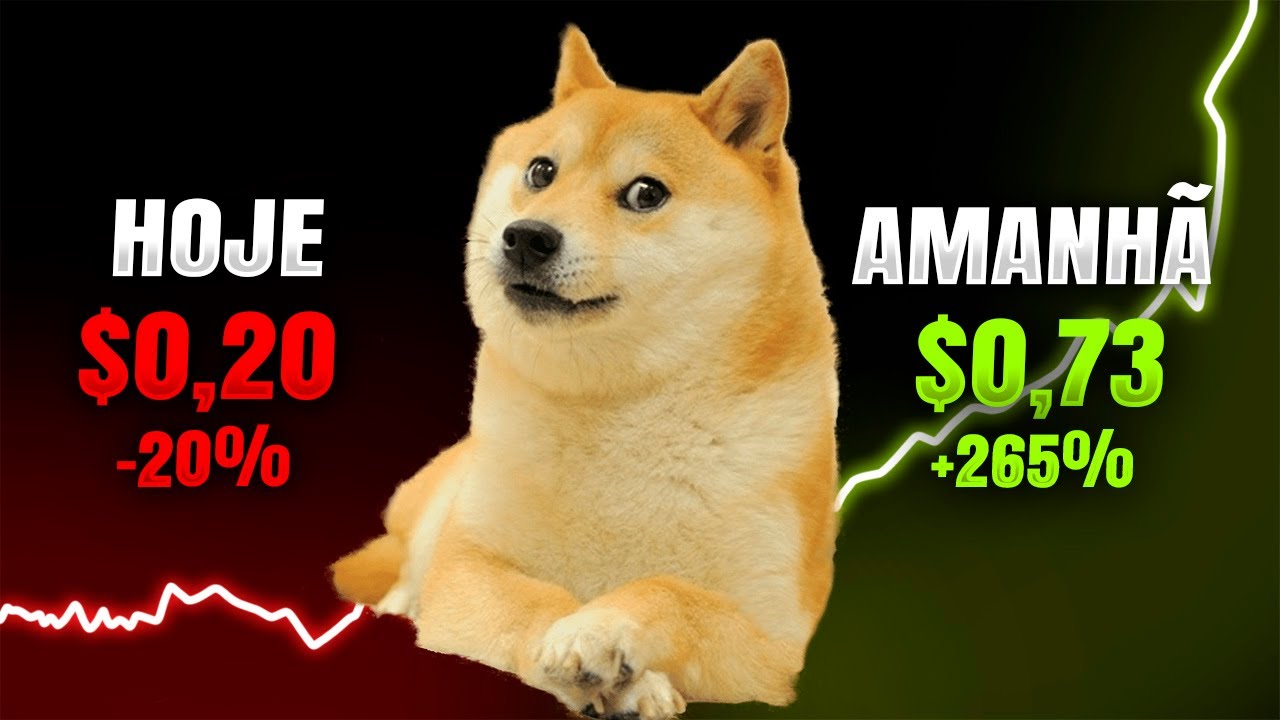 Multiplique seu dinheiro com Dogecoin agora 😱 Oportunidade
