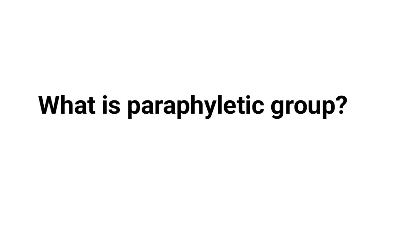 What is paraphyletic group ?