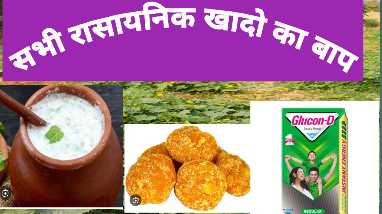 घरेलू समान से bio खाद बनाये